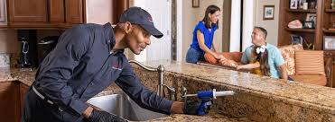 Best Termite Inspection and Treatment  in Hockinson, WA